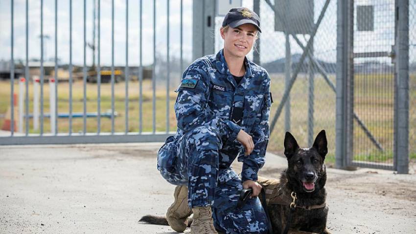 Military working dogs show their value in TS19
