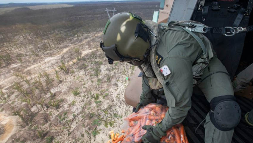 Navy helicopter crew helps to sustain wildlife after bushfires