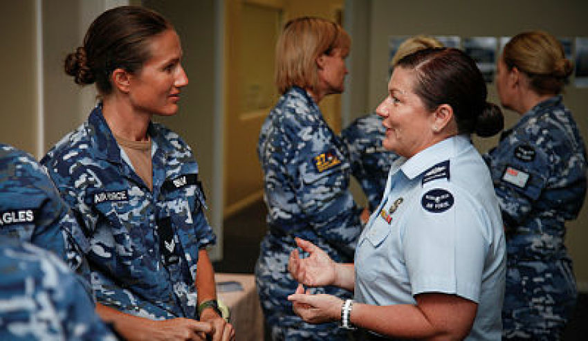 transitions of veterans in the spotlight