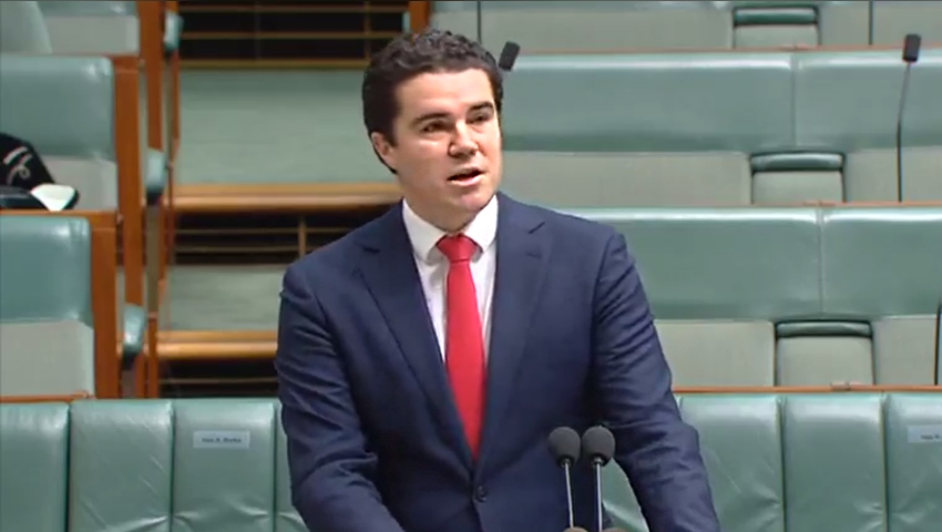 Tim Wats parliament dc