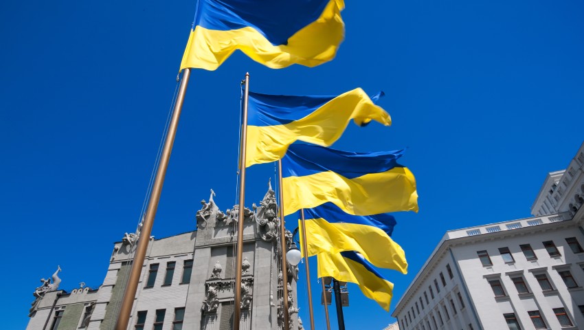 Ukraine flags dc