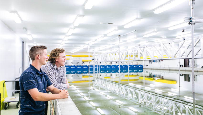 Championing the nation’s naval shipbuilding endeavour