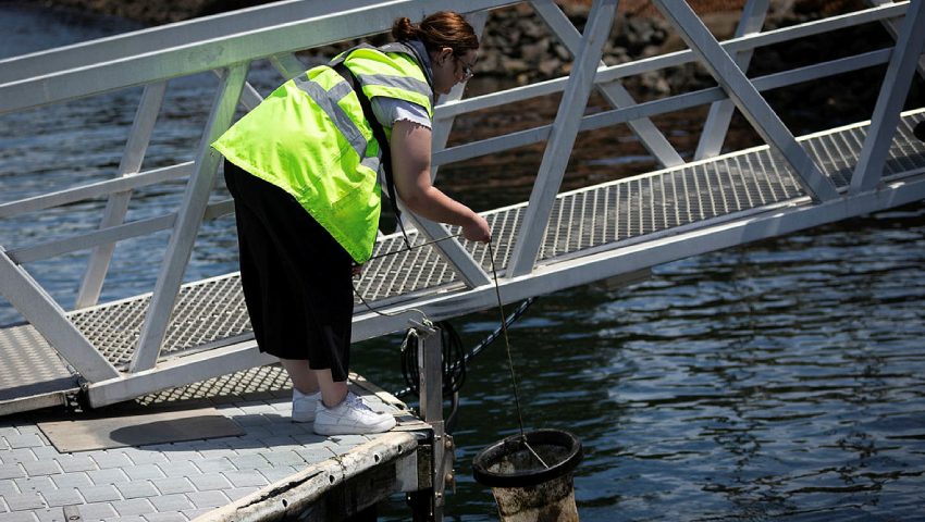 clean up effort Sydney Harbour dc
