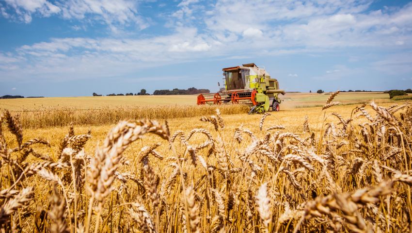 Operation Grain Harvest Assist