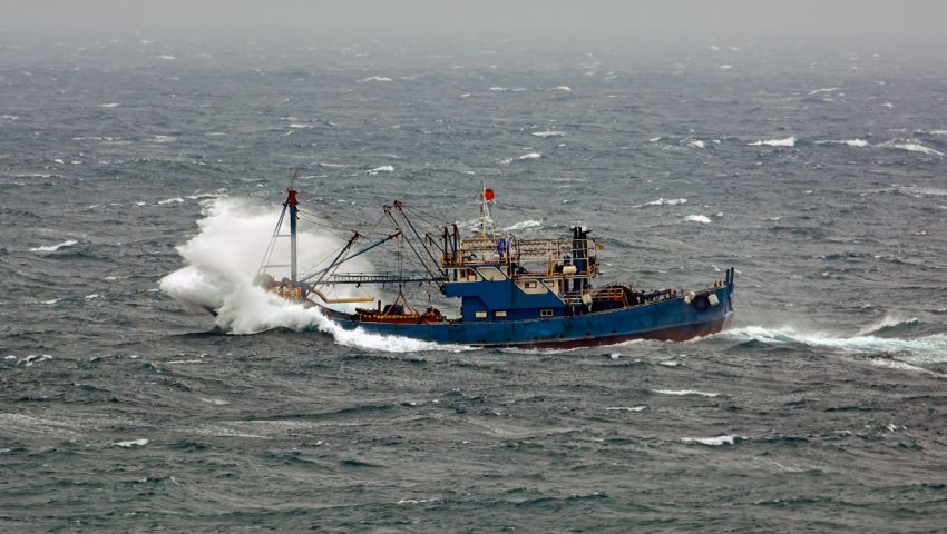 illegal-chinese-fishing-vessel-dc.jpg