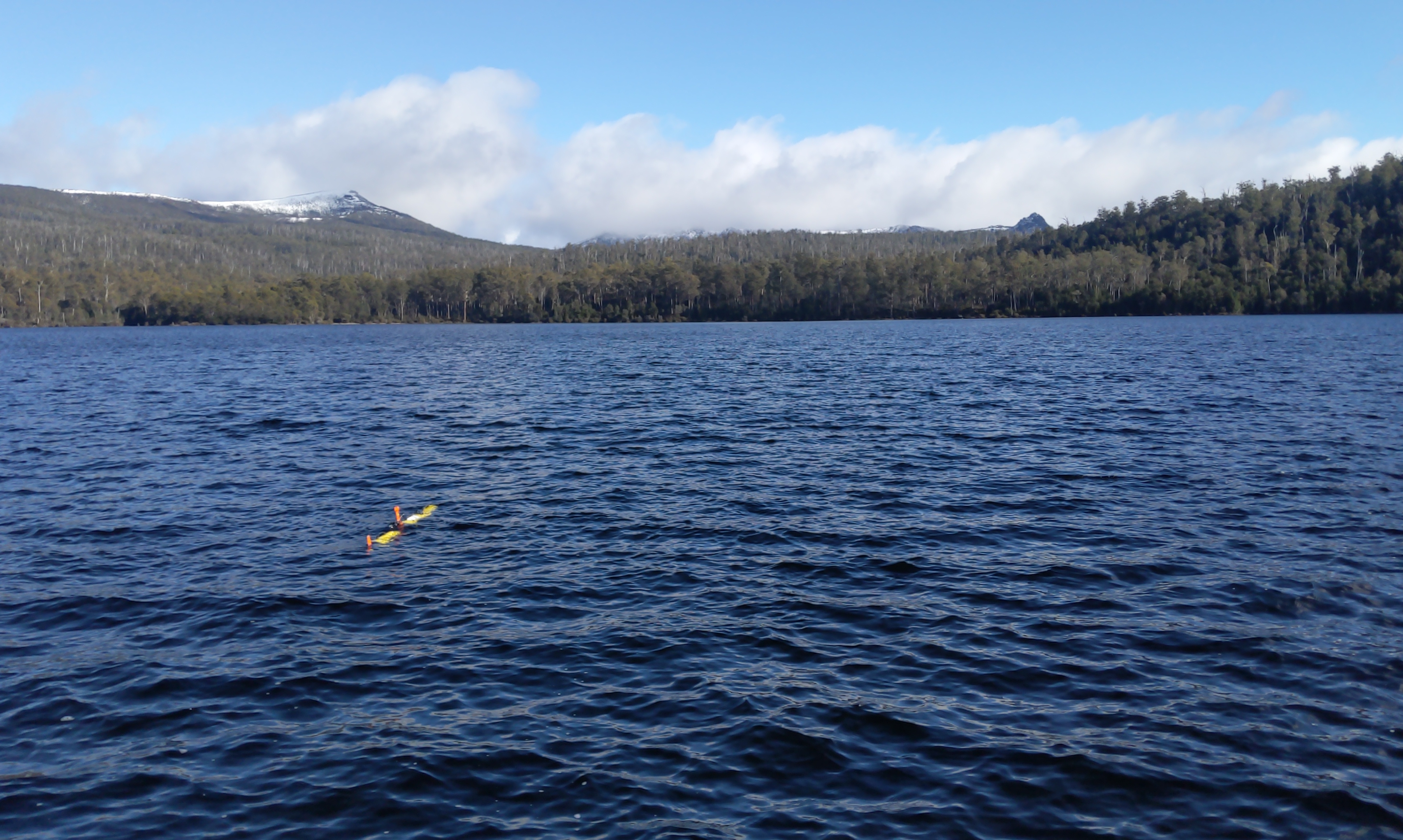 shoal media release   2022 02 